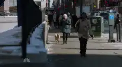 Закон и порядок. Специальный корпус 15 сезон 17 серия