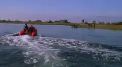 Закон и порядок. Преступное намерение 5 сезон 7 серия