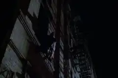 Закон и порядок 5 сезон 17 серия