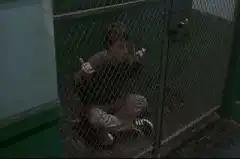 Закон и порядок 5 сезон 19 серия