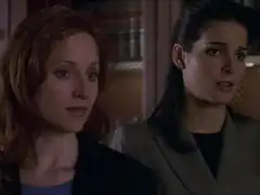 Закон и порядок 9 сезон 23 серия