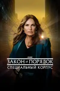 постер Закон и порядок. Специальный корпус